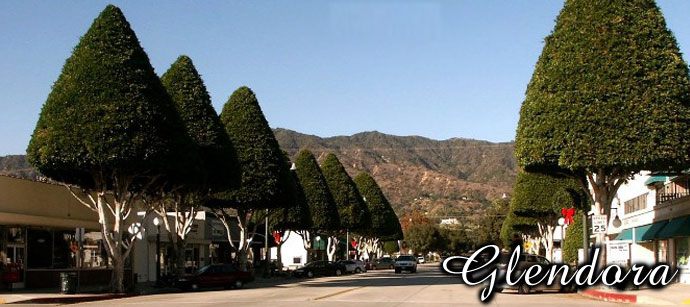 Dumpster Rental Glendora, CA
