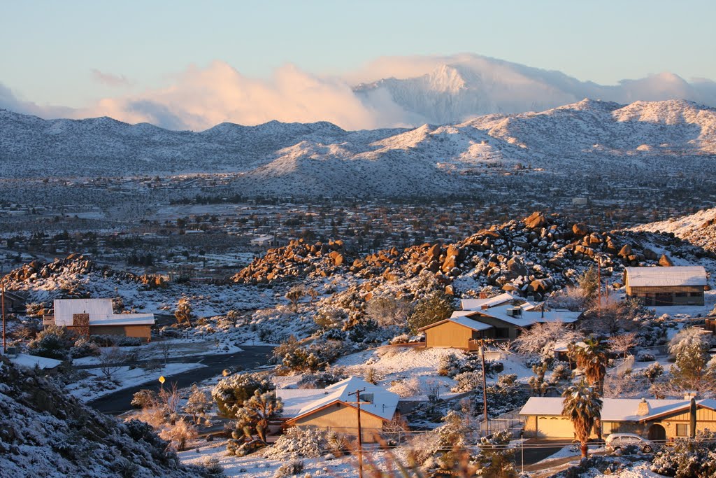 Dumpster Rental Yucca Valley CA