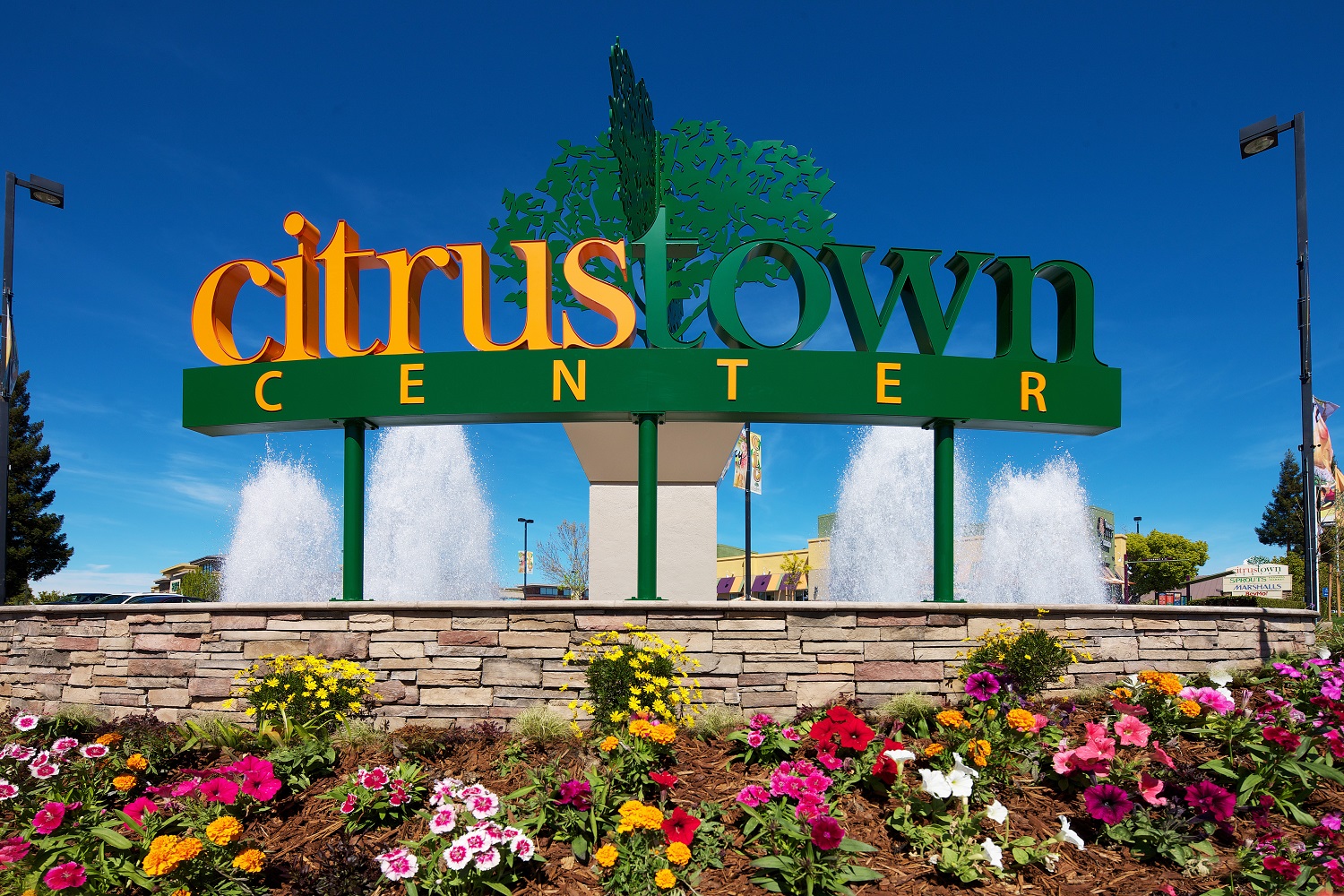 Dumpster Rental Citrus Heights, CA