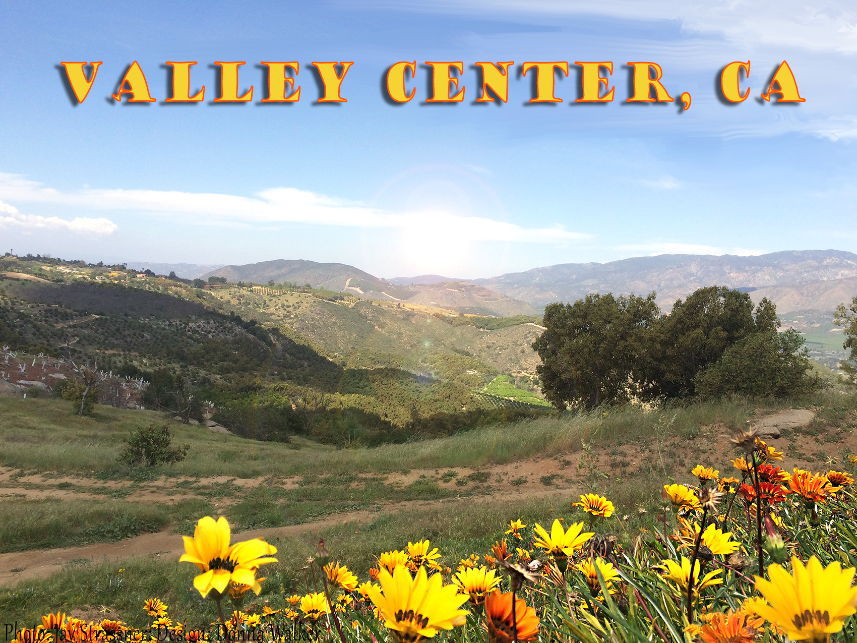 Dumpster Rental Valley Center, CA