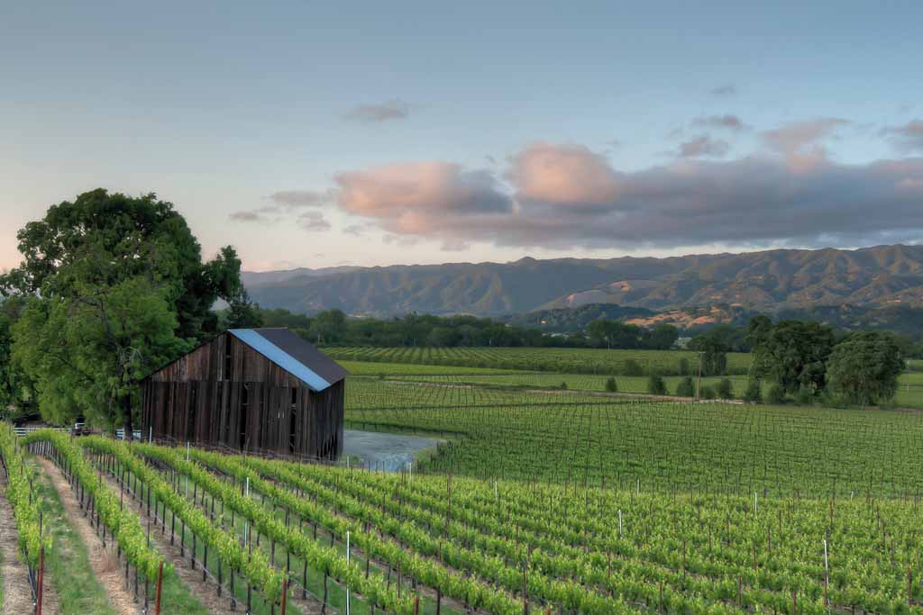 Dumpster Rental Ukiah, CA