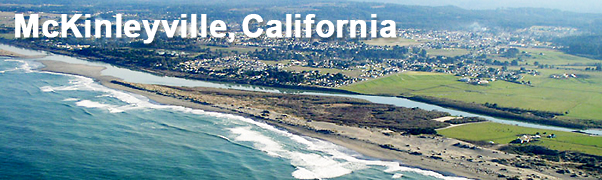 Dumpster Rental Mckinleyville, CA