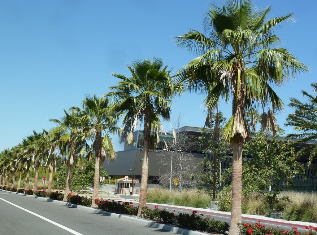 Dumpster Rental Northridge CA