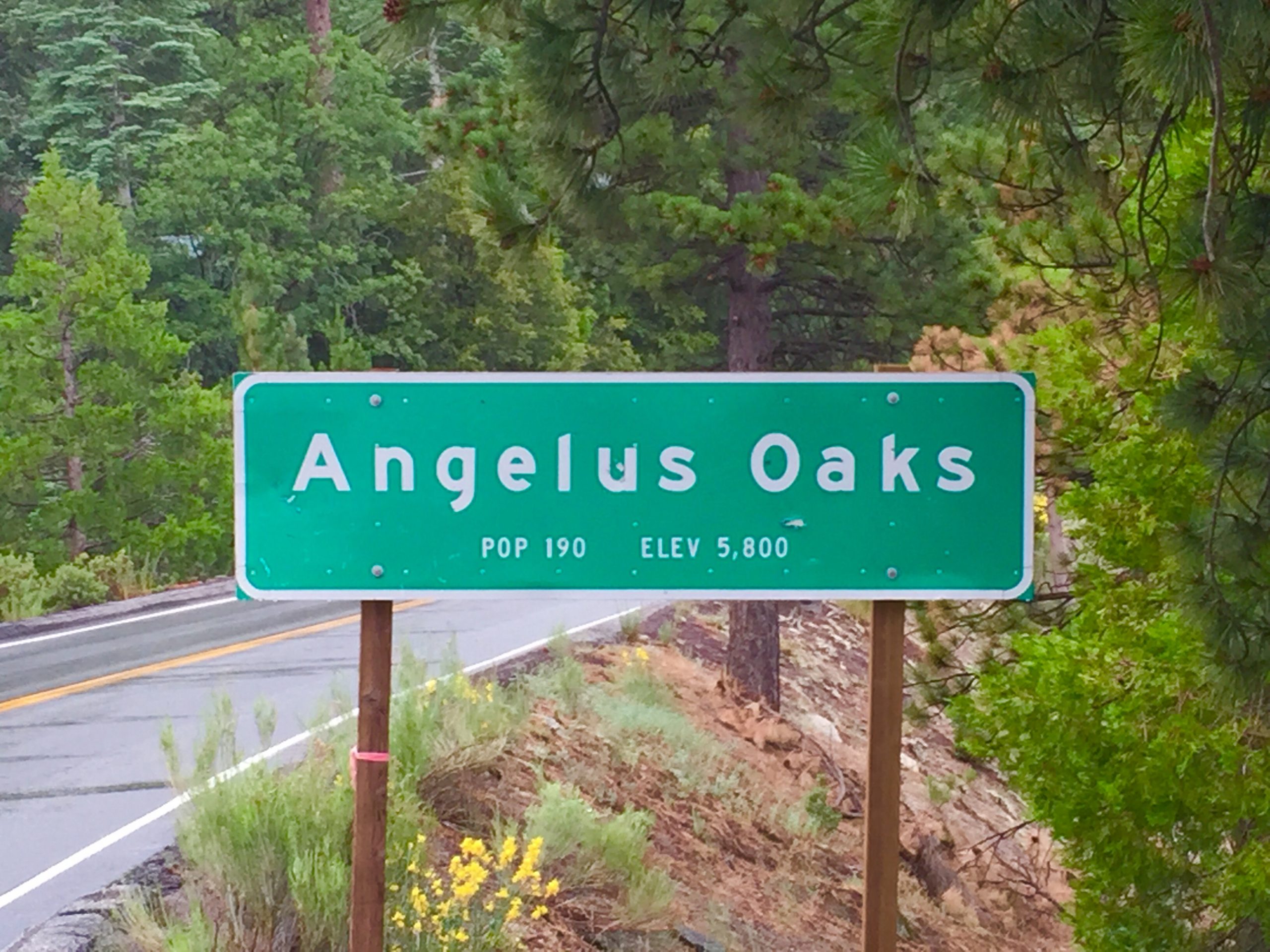 Dumpster Rental Angelus Oaks, CA