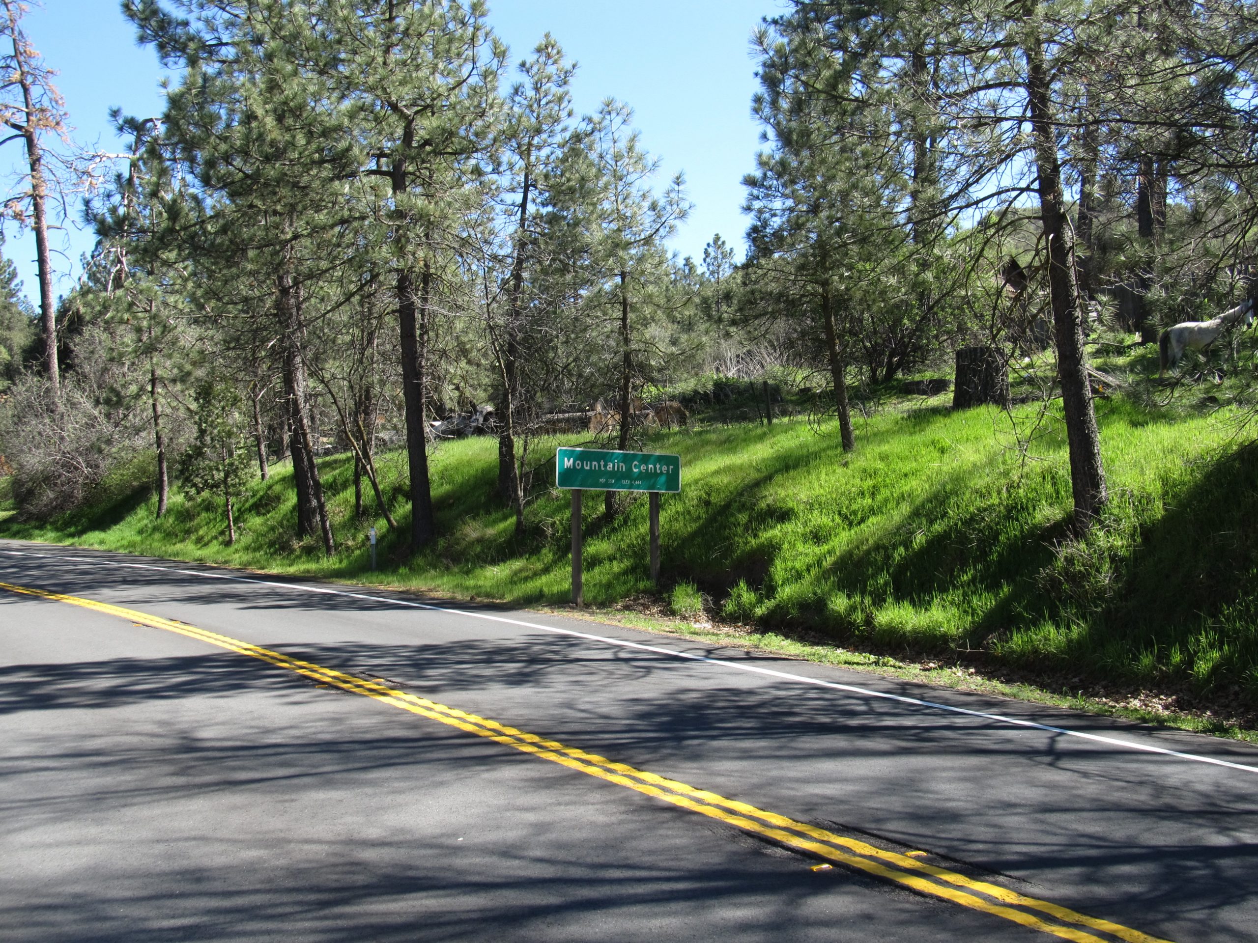 Dumpster Rental Mountain Center,