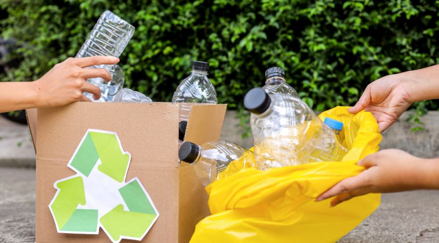 Affordable & Reliable Waste Solutions in Bernardino