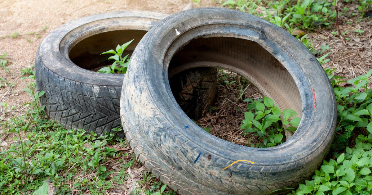 Two old, worn-out vehicle tires resting side by side on dirt, surrounded by grass and weeds.