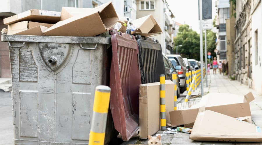 Renovation Debris Removal Dumpster Rental Near me