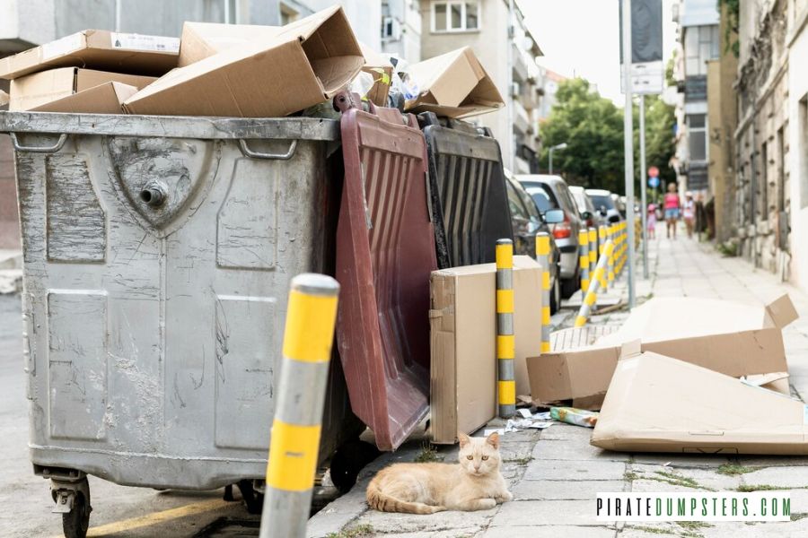 dumpsters rental